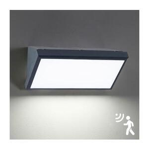 Imagine BRILAGI - Aplica LED de exterior cu senzor TRIANGLE, 20W, 230V, antracit