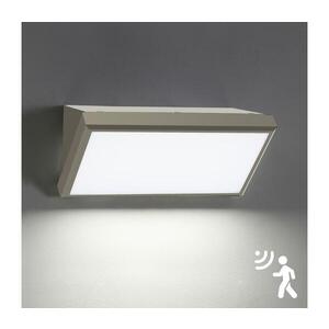 Imagine BRILAGI-LED Aplica de perete LED pentru exterior cu senzor TRIANGLE, 20W, 230V, gri, IP65