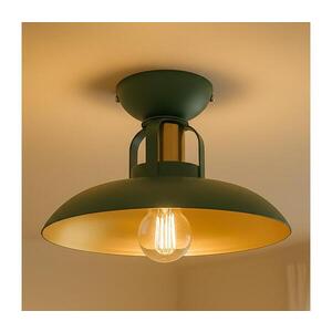 Imagine Lustră aplicată BRILAGI FLAMENGO 1xE27/60W/230V verde