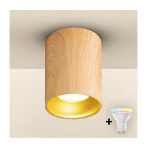 Imagine BRILAGI - Spot LED RGBW dimabil TRINE 1xGU10/4, 8W/230V decor stejar