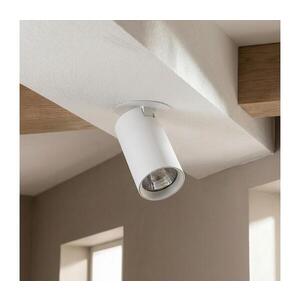 Imagine BRILAGI - Spot încastrat SELE 1xGU10/30W/230V alb