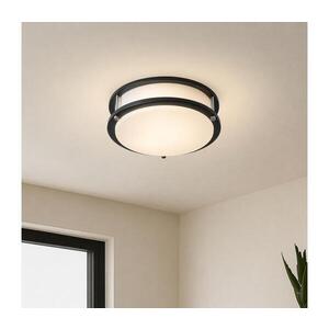 Imagine BRILAGI - Plafonieră ELARO, 2xE27/40W/230V, Ø 26 cm, neagră