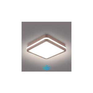 Imagine BRILAGI-LED Lampă de exterior cu senzor BENE LED/18W/230V 21, 5x21, 5 cm maro IP54
