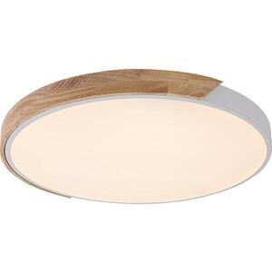 Imagine Rabalux 71419 - Plafonieră LED MAPLE2 40W/230V 3000/4000/6500K alb/stejar Ø61 cm