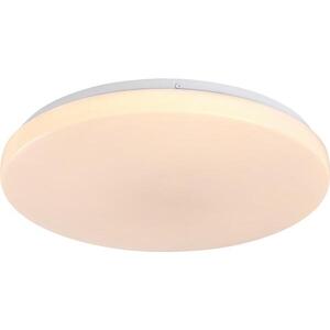 Imagine Rabalux 71443 - Lampă de tavan LED DANNY 2, dimmabilă, 60 W, 230 V, 3000-6500 K, Ø 58 cm + telecomandă