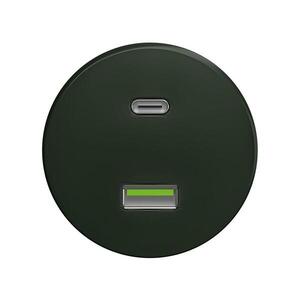 Imagine Reblig - Priză USB retro A+C, fără ramă, verde