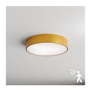 Imagine Plafonieră cu senzor BRILAGI CLARE 3xE27/40W/230V d. 40 cm auriu