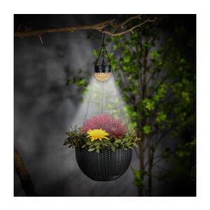 Imagine Lampă solară LED cu ghiveci, 1, 2 V, 400 mAh, IP44, negru