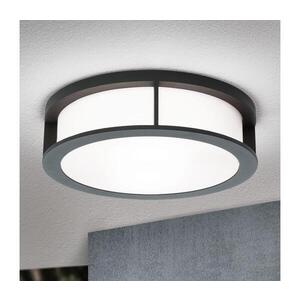 Imagine Orion - Aplică de exterior HENRY, 2xE27/15W/230V, Ø 30 cm, IP44, antracit
