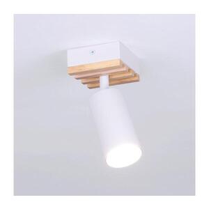Imagine BRILAGI - Spot SELE WOOD ACOUSTIC, 1x GU10, 30W, 230V, alb/lemn