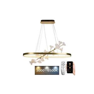 Imagine Lustră LED dimabilă pe cablu LED/65W/230V 3000-6500K + telecomandă