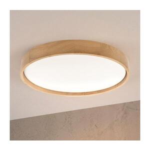 Imagine BRILAGI - Plafonieră LED MANAROLA PLAIN, 36 W, 230 V, 3000 K, Ø 48 cm, finisaj stejar