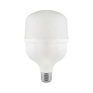 Imagine Bec LED T80 E27/20W/230V 6500K