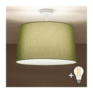 Imagine BRILAGI - Lustru aplicat LED CERIA 1xE27/60W/230V Ø 45 cm alb/verde