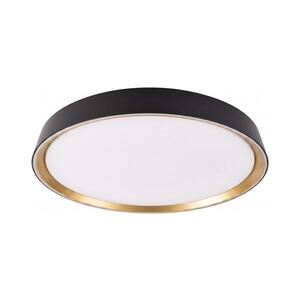 Imagine Plafonieră LED dimabilă ILVI LED/45W/230V 2700-6500K Ø 50 cm negru/bej + telecomandă