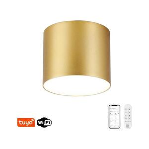 Imagine NEO 07318L - Plafonieră LED dimabilă RONDATE 32W/230V 16, 5 cm Wi-Fi Tuya auriu