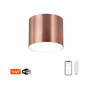 Imagine NEO 07319L - Plafonieră LED dimabilă RONDATE 18W/230V 11, 5 cm Wi-Fi Tuya roz