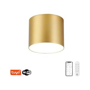 Imagine NEO 07317L - Lampă LED dimabilă de tavan RONDATE 18W/230V 11, 5 cm Wi-Fi Tuya, finisaj auriu