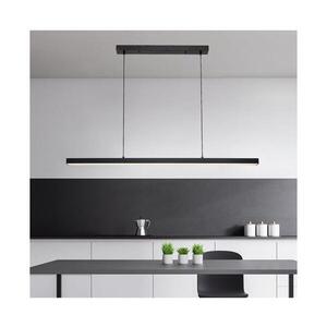 Imagine BRILAGI - Lustră LED suspendată pe cablu PAXIS LED/30W/230V, 120 cm, negru
