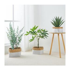 Imagine Eglo 426585 - Set de 3 coșuri decorative NANAE 16x27 cm alb/bej