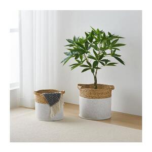 Imagine Eglo 426584 - Set de 2 coșuri decorative NANAE 30x31 cm alb/bej