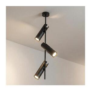 Imagine BRILAGI - Lustra pe tijă BRANCH 3xGU10/30W/230V neagră