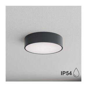 Imagine BRILAGI - Plafonieră pentru baie CLARE 2xE27/24W/230V Ø 30 cm antracit IP54