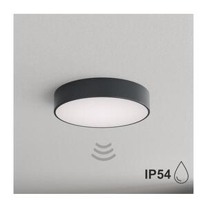Imagine BRILAGI - Plafonieră pentru baie cu senzor CLARE 3xE27/24W/230V Ø 40 cm antracit IP54