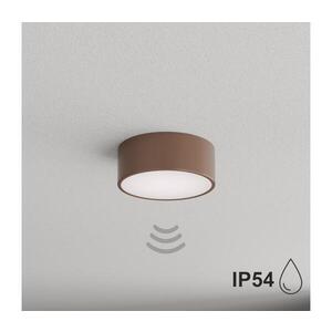 Imagine BRILAGI - Lampă de tavan pentru baie cu senzor CLARE 1xE27/24W/230V Ø 20 cm maro IP54