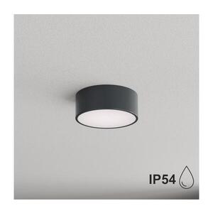 Imagine BRILAGI - Plafonieră de baie CLARE 1xE27/24W/230V Ø 20 cm antracit IP54