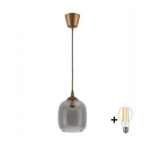 Imagine BRILAGI - Lustru LED suspendat pe cablu R GLASS 1xE27/60W/230V diam. 14 cm maro/gri fumuriu