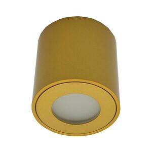 Imagine Spot exterior FARA 1xGU10/30W/230V IP54 auriu