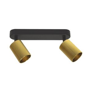 Imagine Corp de iluminat tip spot ELAN 2xGU10/30W/230V auriu/negru