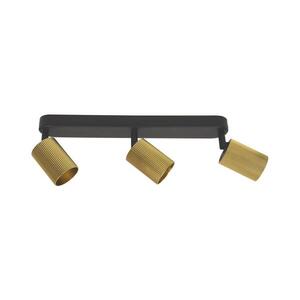 Imagine Corp de iluminat tip spot ELAN 3xGU10/30W/230V auriu/negru