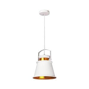 Imagine Rabalux 2571 - Lampa suspendata DUSAN E27/40W