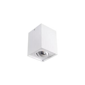 Imagine 25470 - Lampa spot GORD 1xGU10/25W/230V alb