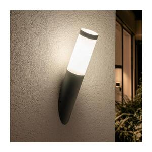 Imagine BRILAGI - Aplică LED de exterior ELIA 1xE27/7W/230V 4000K IP44 antracit