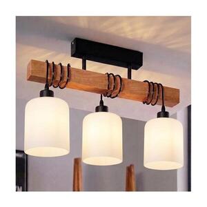 Imagine BRILAGI - Lustră de tavan aplicată WOOD GLASS 3xE27/60W/230V pin/negru/alb