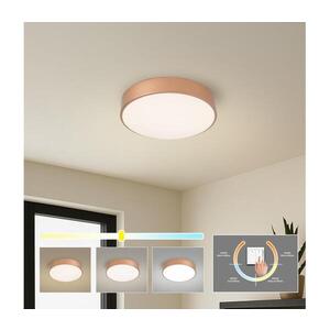 Imagine BRILAGI - Plafonieră LED POOL/36W/230V 3000/4000/6000K Ø 30 cm bronz