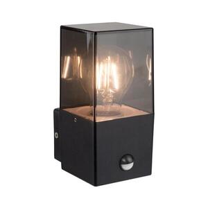 Imagine Aplica de perete pentru exterior cu senzor, 1xE27/40W/230V, IP44, negru/fumuriu