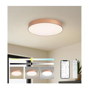 Imagine BRILAGI-LED Corp de iluminat reglabil POOL SMART LED 60 W/230 V, 50 cm, Wi-Fi Tuya, bronz + telecomandă