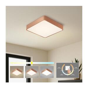 Imagine BRILAGI - Plafonieră LED POOL SQUARE LED/48W/230V 3000/4000/6000K 50x50 cm bronzată