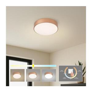 Imagine BRILAGI - Plafonieră LED POOL LED/24W/230V 3000/4000/6000K Ø 20 cm bronz