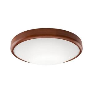 Imagine LED Plafonieră 1xLED/24W/230V
