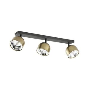 Imagine Spot ALTEA 3xAR111 GU10/50W/230V auriu/negru