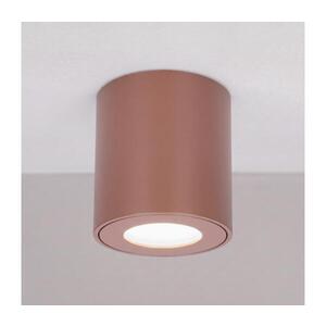 Imagine BRILAGI - Corp de iluminat spot pentru baie MIA 1xGU10/30W/230V 84x80 mm maro IP54