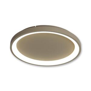 Imagine BRILAGI - Plafonieră LED dimabilă FALCON SLIM LED/42W/230V bej + telecomandă