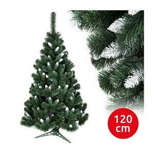 Imagine Pom de Crăciun NARY I 120 cm pin