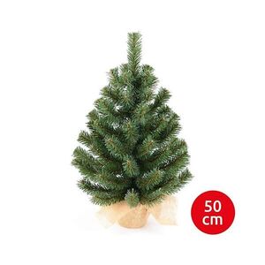 Imagine Brad de crăciun XMAS TREES 50 cm pin