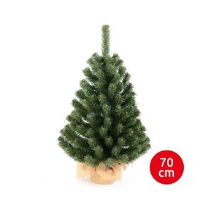 Imagine Brad de crăciun XMAS TREES 70 cm pin